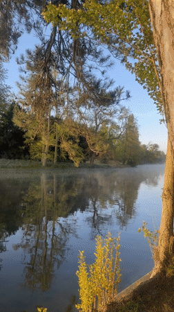 Peaceful sunrise captured at Paris lake Monday morning