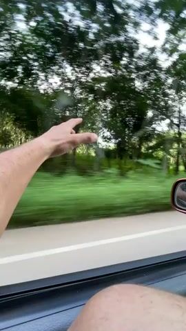 A person's arm is extended out of a car window, with their hand visible. The arm and hand are in motion, suggesting the car is moving. The background outside the car shows trees and greenery, which are blurred due to the motion. The interior of the car, including the car door and part of a leg, is also visible. The scene appears to be a scenic drive.