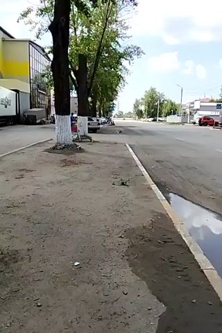 A street scene with a sidewalk on the left and a road on the right. Several trees line the sidewalk, their bases painted white. A building with a yellow and blue facade is visible on the far left. Cars are parked along the side of the road. The road appears wet in places, with a puddle near the curb. The sky is cloudy. The video is short and does not show any significant actions or interactions.