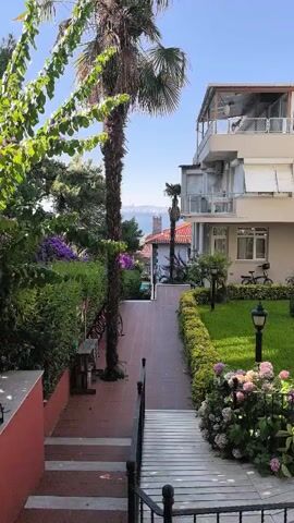 A video shows a view from a garden with lush greenery and blooming purple flowers leading to a house with a red-tiled roof. A prominent palm tree stands in the foreground. Beyond the house, a body of water is visible, with a cityscape and a tall tower in the distance under a clear blue sky. Two seagulls are perched on top of a brick chimney on the house. The camera zooms in on the seagulls and the distant city.