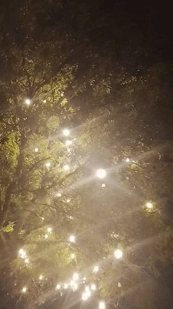 Rural scenes documented in Uzbekistan including stork, vegetation, resident