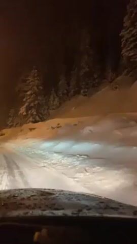 The video, taken from the interior of a car, shows a road covered in snow at night. The car's headlights illuminate the road ahead, revealing a landscape blanketed in thick snow. On the right side of the road, a slope rises, densely populated with snow-covered evergreen trees. The sky appears dark, suggesting it is night, with ambient light from streetlights softly illuminating the snow-covered scene. The windshield of the car has some visible condensation or moisture, adding a slight blur to the view. Music plays in the background.