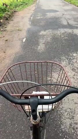 A first-person perspective video shows a bicycle's handlebars and front basket as the bicycle travels on a paved road next to a dirt path. To the left of the path, there are some chickens pecking at the ground. Beyond the chickens, a field of green crops, possibly rice, stretches into the distance, bordered by trees and a cloudy sky. As the video progresses, the bicycle moves past a large, uprooted tree stump on the left side of the road. The camera continues to capture the view of the green fields and the surrounding lush vegetation and trees.