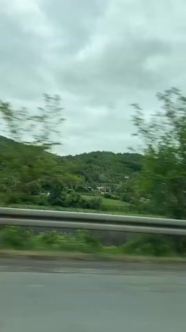 The video shows a view from a moving vehicle along a highway. A gray metal guardrail is visible along the side of the road. Beyond the guardrail, there are trees and a hillside dotted with houses. The sky is overcast with gray clouds. The video is taken from the passenger's perspective, with the focus on the passing scenery.