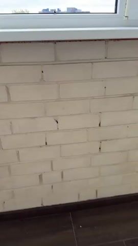 The video begins with a close-up shot of a white brick wall. The camera then pans up to reveal a window with a white windowsill. Outside the window, a cityscape with apartment buildings and trees can be seen under a cloudy sky. A fly is briefly visible on the windowsill before the camera focuses on a bumblebee sitting on the windowsill. The bumblebee is black and yellow and appears to be facing away from the camera. The video then zooms out slightly, showing more of the cityscape and the bumblebee. The bumblebee is still on the windowsill, and the background remains the same. The video ends with the bumblebee still visible on the windowsill.