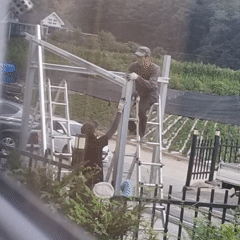 Cooking and building at a rural South Korean property