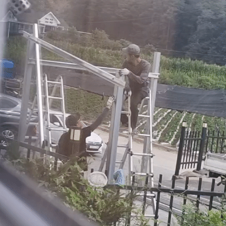 Cooking and building at a rural South Korean property