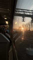 Train passenger with leopard print head covering recorded in Philadelphia