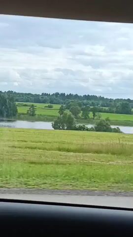This is a short video clip of a rural landscape as seen from inside a vehicle. The foreground is dominated by the interior of the car, with a dark dashboard and the edge of a sunroof visible. Beyond the car's window, a vast expanse of green fields stretches towards a distant treeline. A body of water, possibly a river or lake, is visible in the middle ground, reflecting the cloudy sky. The sky itself is filled with dramatic, billowing clouds, suggesting an overcast or partly cloudy day. Scattered throughout the fields and near the treeline are numerous trees, adding texture and depth to the scene. In the middle of the frame, a tall, slender utility pole with electrical wires stretches across the landscape, a man-made element contrasting with the natural surroundings. The overall impression is one of serene, expansive countryside. There is no visible text in the video. The time of day appears to be daytime, likely afternoon, given the quality of the light. The weather appears to be somewhat cloudy but not actively raining. The location cues are consistent with a rural setting in Belarus, specifically the Светласельскі сельскі Савет. There are no people or animals visible in the clip. The activity is passive observation of the passing scenery from a moving vehicle.