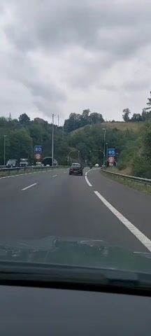 A dashcam view from a vehicle driving on a multi-lane highway approaches two tunnels. The road is asphalt with white lane markings. On the sides of the road are guardrails and slopes covered with trees and vegetation. There are overhead signs with the number 80 in a blue circle, indicating a speed limit. Traffic lights, currently green, are visible above the lanes. Several vehicles, including cars and trucks, are on the highway, with one car directly ahead heading towards the tunnels. The sky is overcast.