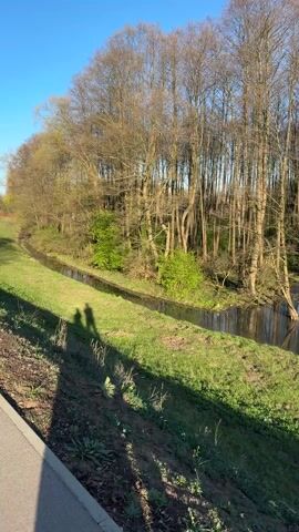 The video shows a narrow stream running through a grassy area next to a paved walkway. On the other side of the stream is a line of trees, many of which are bare of leaves. The sky is clear and blue. The shadow of a person holding a phone is visible on the grassy slope.