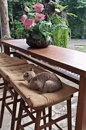 Mu Si, Thailand