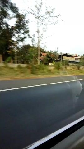 The video shows a view from inside a moving vehicle, looking out the window. The foreground is dominated by the interior of the car, including a dark gray surface that appears to be the window frame or part of the car's interior. The middle ground consists of a road with a white line marking the lane. Beyond the road, there is a grassy embankment. The background features trees, vegetation, and several buildings, suggesting a semi-rural or suburban environment. The motion blur indicates the vehicle is traveling at a moderate speed. The sky is overcast. No people are visible in the frame.