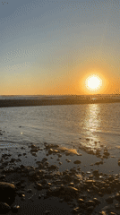 Tropical coastal scenes documented in Mengwi, Indonesia