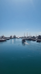 Sunny day brings fishermen and boaters to Sochi marina