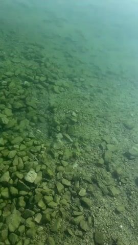 The video shows an aerial view of a rocky lakebed beneath clear, shallow, green water. The lakebed is covered in small to medium-sized gray and green rocks. The water's surface reflects the sky and surrounding landscape. A sandy shore is visible in the distance, with a single person walking along it. Buildings and trees are present in the background, along with a mountainous landscape.