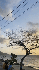 Evening beach life captured in Juan Griego, Venezuela