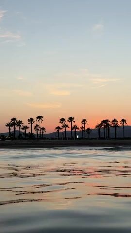 This media file captures a serene sunset scene at the beach in Castelló de la Plana, Spain. The primary subjects are the silhouettes of numerous palm trees lining the coastline, set against a gradient sky painted with soft hues of orange, pink, and pale blue. The setting is a tranquil beach with gentle waves lapping at the shore, creating reflective patterns on the water's surface.

The time of day is clearly sunset, as indicated by the warm, low-angled light and the colors in the sky. The weather appears calm and pleasant, with a clear, expansive sky and only a few wispy clouds. The location cues are strong, with the distinctive silhouette of palm trees and the general ambiance of a Spanish coastal town.

There are no people or specific objects prominently featured in the foreground or mid-ground, emphasizing the natural beauty of the landscape. The overall emotion conveyed is one of peace, tranquility, and natural beauty.

No visible text is present in the media file.