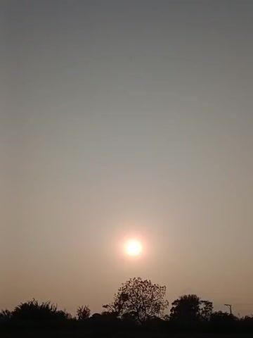 This is a video of a sunrise or sunset, captured from a low angle. The sun is visible in the center of the frame, appearing as a bright, glowing orb. The sky is a soft, hazy gradient of gray and orange, indicating the presence of atmospheric dust or clouds. Silhouetted against the sky are the tops of several trees and some other vegetation. The overall impression is one of natural beauty and a tranquil moment at the beginning or end of the day.