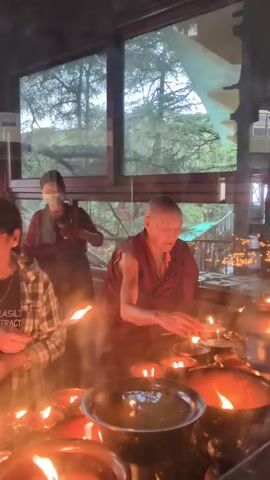 The video captures an indoor scene, likely within a temple or monastery in Qila Nathu Singh, India. An elderly person, possibly a monk or nun, clad in a maroon robe, is seen in the foreground carefully tending to and lighting numerous oil lamps or candles. To their left, a woman wearing glasses and a plaid shirt, with the text "EASILY DISTRACTED BY CATS & BOOKS" visible on her t-shirt, is also engaged with the lamps. In the background, another individual wearing a face mask can be seen. Large windows behind the subjects offer a view of a wooded area or forest outside. The soft, warm glow from the many burning lamps creates a serene and devotional atmosphere, suggesting the activity is taking place during dusk or evening hours.