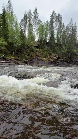 The video shows a fast-flowing river cascading over dark rocks in a forest. The water is white and foamy as it rushes over the rocks. Trees line the banks of the river on both sides. The sky is overcast and gray.