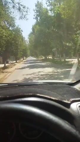 A first-person perspective video captures a person driving a car down a tree-lined road. The view is from behind the steering wheel, with a hand visible on the wheel. The road appears to be paved and has a light grey surface. On either side of the road, there are numerous trees with green foliage, casting shadows on the road. In the distance, another car can be seen on the road. The sky is visible above the trees and appears to be clear and bright, suggesting a sunny day. The environment looks like a suburban or rural area with houses or buildings possibly present behind the trees on the sides of the road, though they are not clearly visible. The car appears to be moving at a moderate speed.