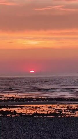 The video shows a serene sunset over a calm ocean. The sky is painted in warm hues of orange, pink, and yellow, with the sun a bright red orb just above the horizon. The ocean reflects the sky's colors, creating a shimmering effect on the water's surface. In the foreground, a beach with pebbles and seaweed is visible, with a few birds scattered along the shore. In the distance, a line of wind turbines can be seen, their silhouettes a stark contrast against the vibrant sky. The overall mood is peaceful and tranquil.
