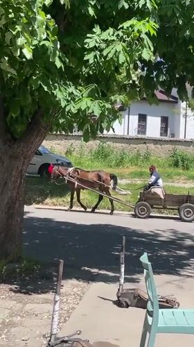 Horse-drawn cart travels through Razgrad streets