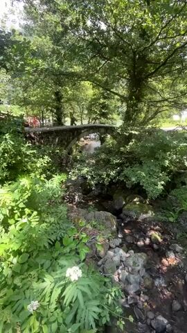 A stone bridge arches over a shallow, rocky stream surrounded by lush green foliage and large trees. The sunlight filters through the dense leaves, creating dappled shadows on the water and the path. The water appears clear and is flowing gently. In the background, there is a hint of red and white structures visible through the trees, possibly a small building or sign. The overall atmosphere is serene and natural.