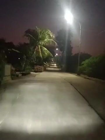The video captures a nighttime view of a paved road lined with trees and vegetation. A street light illuminates the foreground, casting a bright glow on the road. As the camera moves forward, more street lights are visible in the distance, creating a path of light through the darkness. Palm trees and other foliage are on either side of the road. The sky is dark, suggesting it is late at night or early morning. The overall scene depicts a quiet, possibly rural, setting at night.