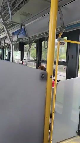 The video shows the interior of a bus. A gray partition is in the foreground, obscuring part of the view. A yellow pole is to the right of the partition. Through the windows, trees and buildings are visible, suggesting the bus is moving through a suburban or residential area. A person with braided hair is visible sitting on the bus, facing away from the camera. There are handrails and overhead compartments typical of public transportation. The lighting appears to be natural daylight.