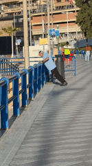 Morning waterfront activities captured across urban coastal area