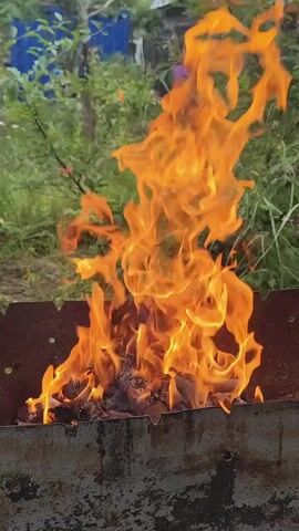 A close-up shot focuses on a fire burning in a metal grill. The flames are a vibrant orange and yellow, reaching upwards in dancing patterns. The grill is old and appears to be made of rusted metal, with a textured surface. In the background, out of focus, is lush green foliage with hints of other plants and possibly some distant structures. The overall scene suggests an outdoor setting, possibly a backyard or campsite, where a fire has been lit, perhaps for cooking or warmth. The camera is positioned low, emphasizing the flames.