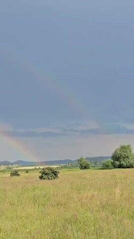 The video depicts a meadow landscape under a sky with a rainbow. The foreground is dominated by a grassy field with scattered bushes. Beyond the field, rolling hills are visible, and a forest patches the hills. The sky is mostly cloudy with a double rainbow arching across the upper portion of the frame.