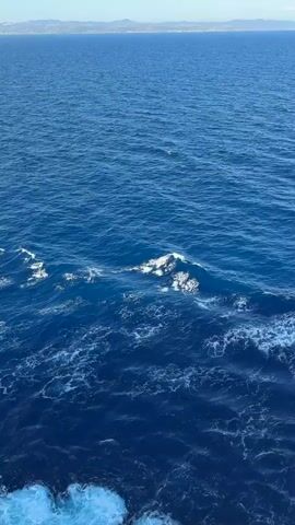 A video shows a wide shot of the sea as a ship moves through it, with land visible in the distance. The sea is a deep blue, with foam and whitecaps marking the ship's path. In the background, a light blue sky meets a faint horizon of land.