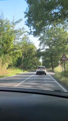 A view from inside a car following another white car on a two-lane road. Lush green trees line both sides of the road, creating a canopy effect. The sky is blue with scattered clouds visible through the gaps in the foliage. The white car in front has its brake lights illuminated. The road has a white centerline dividing the lanes. The dashboard of the car filming is visible at the bottom of the frame.