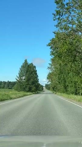The video shows a first-person perspective of driving down a paved road lined with trees. The sky is clear and blue with a few scattered clouds. The road appears to be in good condition, with a white line marking the edge. The trees on either side are lush and green, suggesting a summer day. There are no other vehicles or pedestrians visible in the frame. The video pans slightly as the vehicle moves forward.