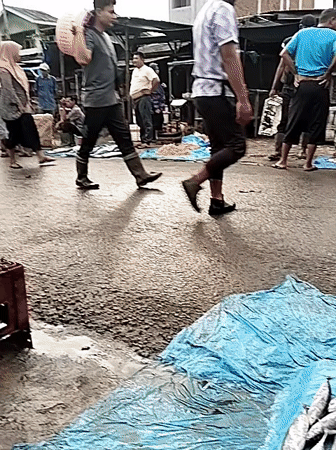 Early morning fish market activity recorded in Lhokseumawe