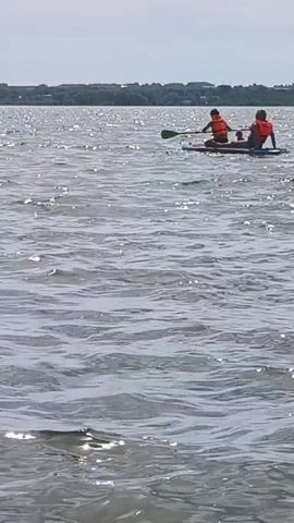 Two individuals wearing orange life vests are paddling a stand-up paddleboard across a body of water. The water is choppy and reflects sunlight. In the background, a distant shoreline with trees and buildings is visible under a bright sky. The scene appears to be a recreational activity on a sunny day.