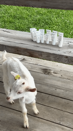 Goats and skincare products filmed on Russian deck