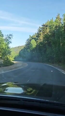 A driver's point-of-view shot shows a car driving on a winding road through a forest on a bright, sunny day. The road is asphalt with a white centerline. The forest on either side of the road is lush and green. The sky is blue with wispy clouds. The car's hood is visible in the foreground. The road ahead curves gently to the left. A hillside with light-colored rock and green vegetation is visible on the left side of the road.  Music plays in the background.