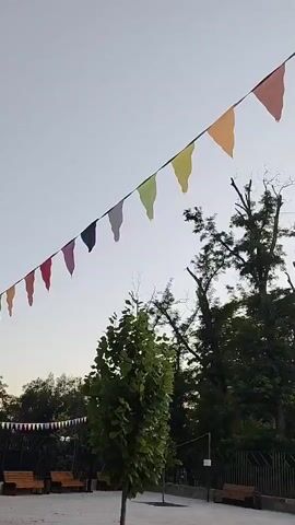 A string of colorful triangular flags hangs suspended against a pale sky. The flags are spaced evenly along the string, creating a festive atmosphere. Below the flags, the tops of trees are visible, their branches reaching towards the sky. Some of the trees are bare, while others are covered in green leaves. In the foreground, a young tree with green leaves stands on a paved surface. There are also park benches visible in the background, suggesting that this is an outdoor public space. The lighting indicates that it is either early morning or late evening.