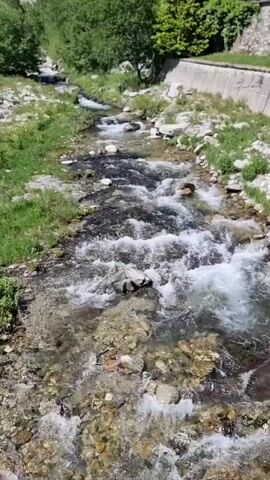 This media file shows a natural stream flowing through a green, mountainous landscape. The stream is clear and shallow, with a rocky bed and fast-moving water that creates white foam as it tumbles over stones. Lush green grass and vegetation grow along the banks of the stream, interspersed with scattered rocks and boulders. In the background, dense green trees climb up the slopes of rolling hills, and in the distance, larger mountains with visible ridges are silhouetted against a bright blue sky. A man-made concrete wall runs along the right bank of the stream for a portion of the view, suggesting some level of human presence or development in the area. The sunlight is bright, indicating it is daytime, likely midday or early afternoon, and the weather appears to be clear and sunny. The overall impression is one of a serene, natural environment, possibly a popular spot for outdoor recreation given the visible wall. No people or explicit objects are the primary focus, but the scene itself, with its natural beauty and the dynamic flow of the water, is the central subject. There is no visible text within the media file. The location is identified as Setcases, Spain, which aligns with the mountainous terrain and vegetation depicted.
