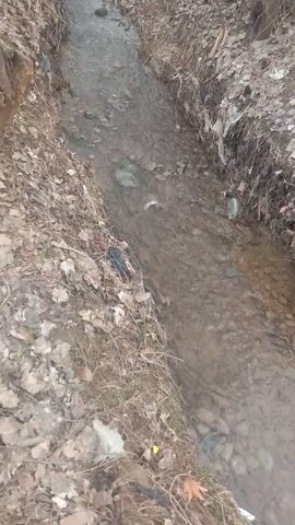 The video shows a small, shallow stream flowing through an area covered in dead leaves and some bare branches. The water appears murky and flows over rocks and debris in the stream bed. There are some pieces of trash visible in the water and along the banks. The shot is taken from above, looking down into the stream.