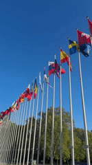 Council of Europe flags and monuments documented in Strasbourg