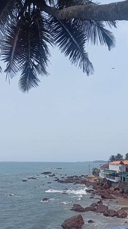 Morning coastal moments captured in Querim, India
