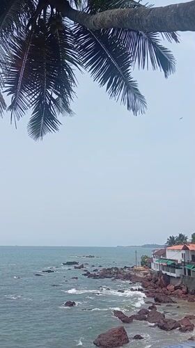 Morning coastal moments captured in Querim, India