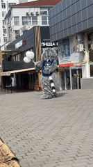 Raccoon mascot spotted in Sevastopol commercial district