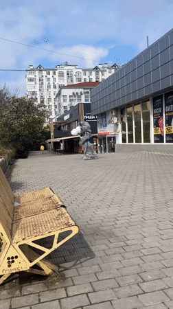 Raccoon mascot spotted in Sevastopol commercial district