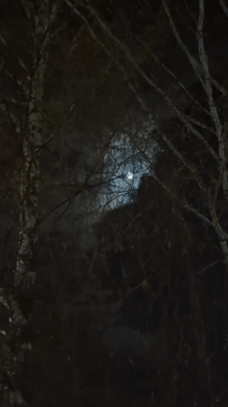 Moon observed through clouds and bare branches in Sarapul